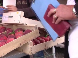 Les Services de l’État de l’Aude veillent sur votre sécurité pour l'été 2011 : consommez en toute confiance !