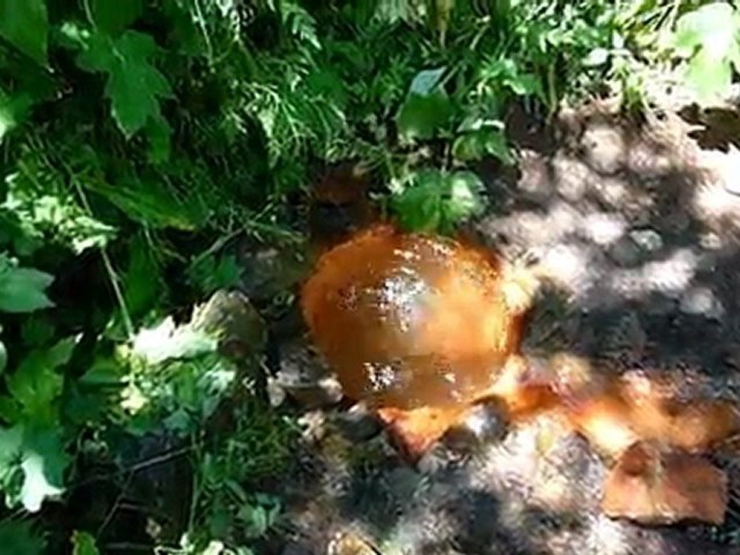 ⁣Архыз-Домбай 2011г