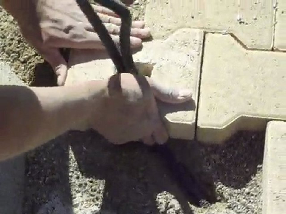 Pavé