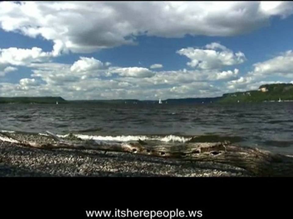 CARM STABILTY =TRUE SUCCESS