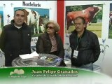 2_LUNES 1 AGOSTO 2011 Agroexpo con comerciales_chunk_1