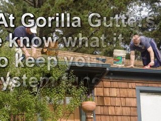 Berkeley Gutter Cleaners