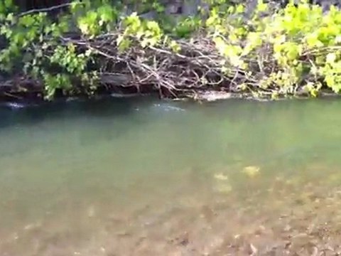 ÇANKIRI/Bayramören-Kavak Köyü Karabük Mahallesi Soğanlı Çayı