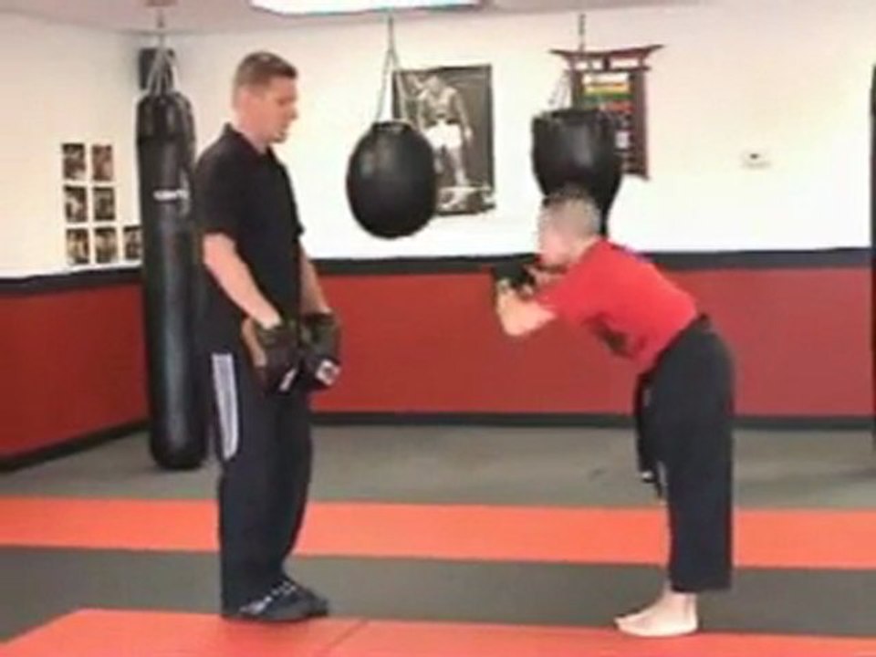 Kids Martial Arts Classes Greenville SC Pelham Road video Dailymotion