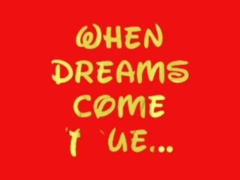 Feux d'artifices Disneyland California