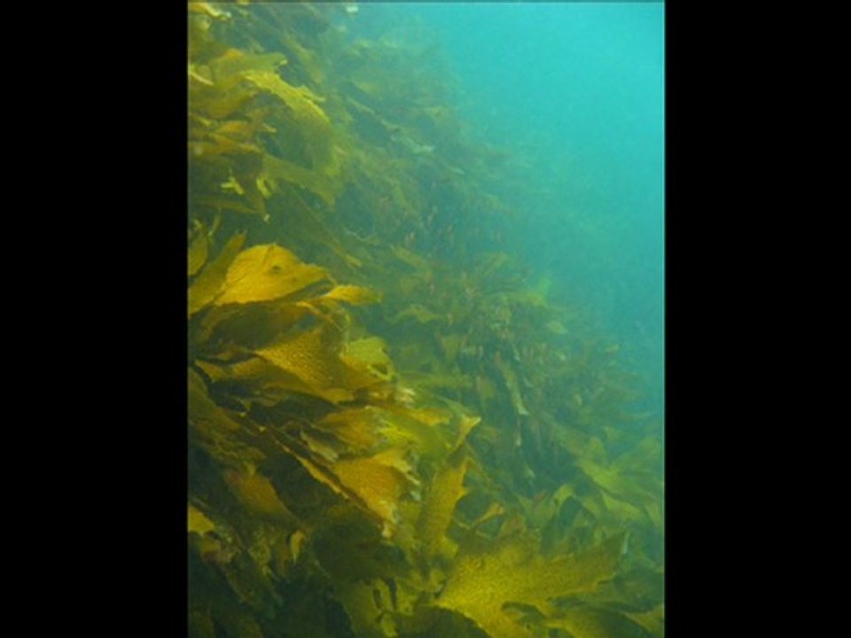 Meditation Music for Spiritual Awakening & Enlightenment