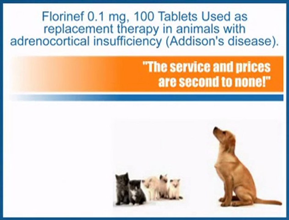 Weight Loss drugs, Buy Florinef cheap generic Shop Florinef Fludrocortisone