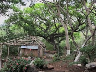 Salvador : Mas alla del sol