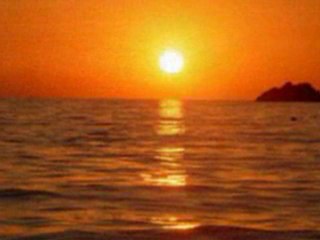 Ahmet Kaya - Denizin Ardı Özgürlük... Şiir Nihat Behram