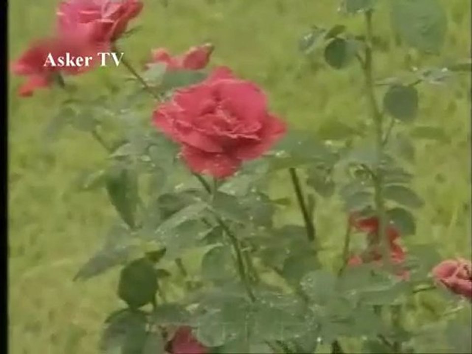 0394