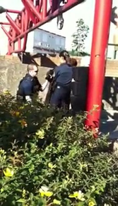 arrestation_niqab_france