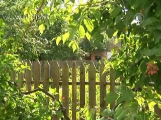 Москва расширяет границы