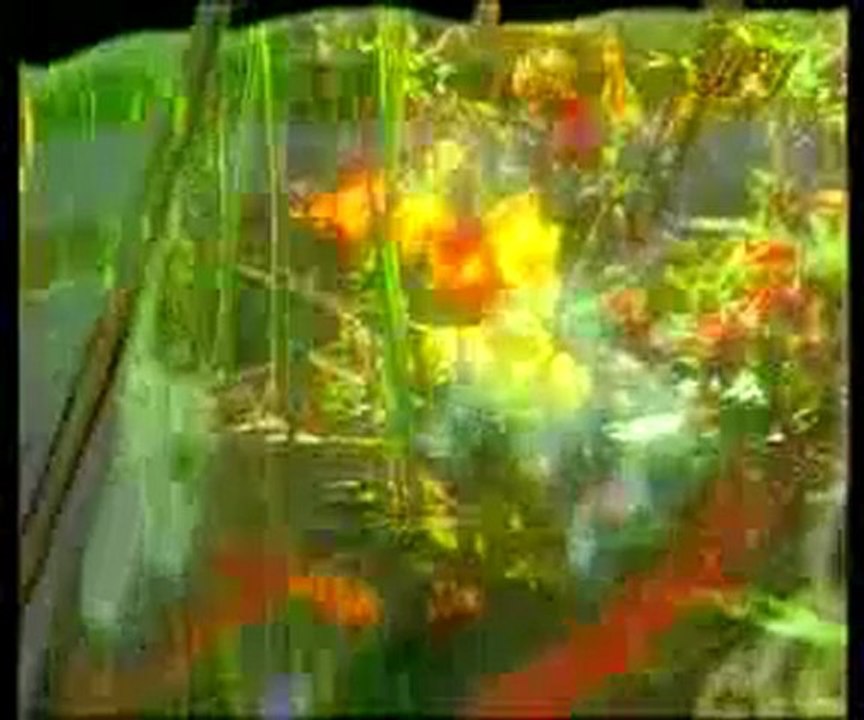 Müminlerin dünya hayatında sergilediği güzel ahlak