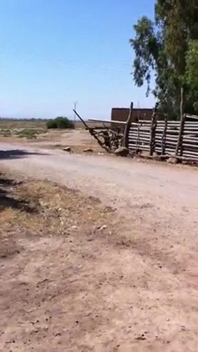 Douar Ouled Sidi Mihoub