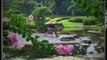 Amazing landscaping ideas worth checking out