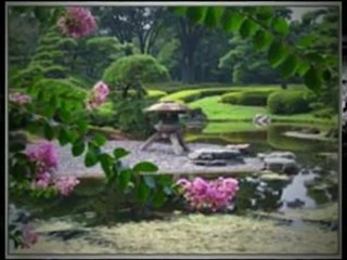 Amazing landscaping ideas worth checking out