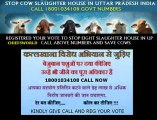 APPEAL TO STOP 8 SLAUGHTER HOUSE(KATALHANA) IN U.P. INDIA