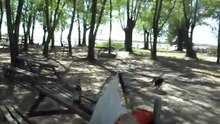 Perro GIGANTE!