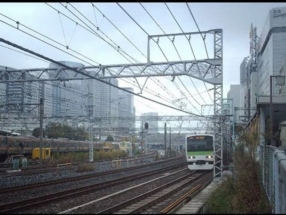 japon tokyo 1 marché aux poissons de Tsukiji,.....