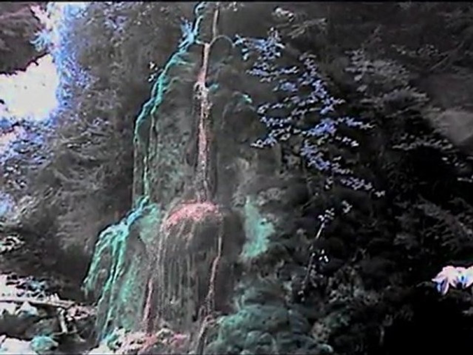 COCOROSIE "Smokey Taboo"