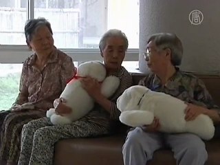 Robotic Seals Help Heal Japan's Elderly Tsunami Victims