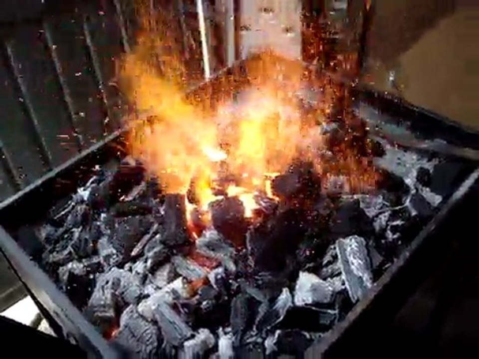 Détrempe cages de roulements 7