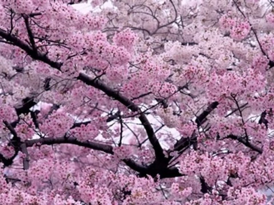 Moon over the ruined castle