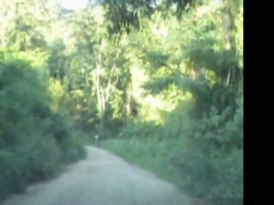 Chemin du jardin botanique qui monte au château de Montalet