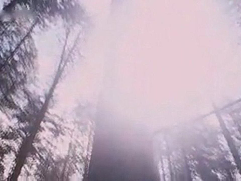 Gandhi to Hitler - DVDScr - XviD - 1CDRip - [DDR](00h00m00s-00h21m50s)