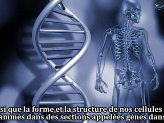 THE SiGNS 1 LE FILM part2 VOSTFR par Alimane Studios