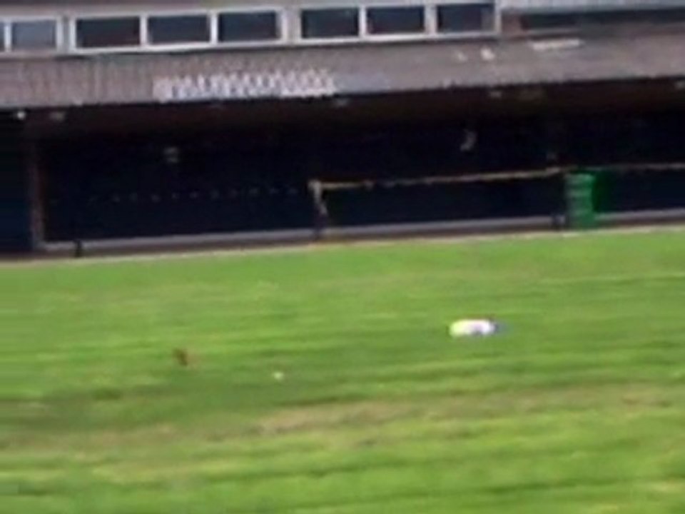Rossi bomba