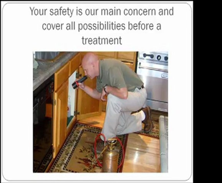http://pestcontrol.insingaporelocal.com