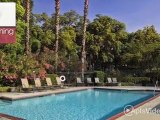 Summer Cove Apartments in Sarasota, FL - ForRent.com