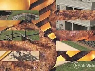 The Patriots Apartments in Gastonia, NC - ForRent.com