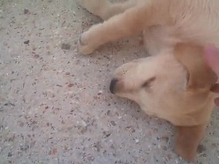 BARRY CHEZ SA MAMAN 2 - JEUDI 26 MAI 2011