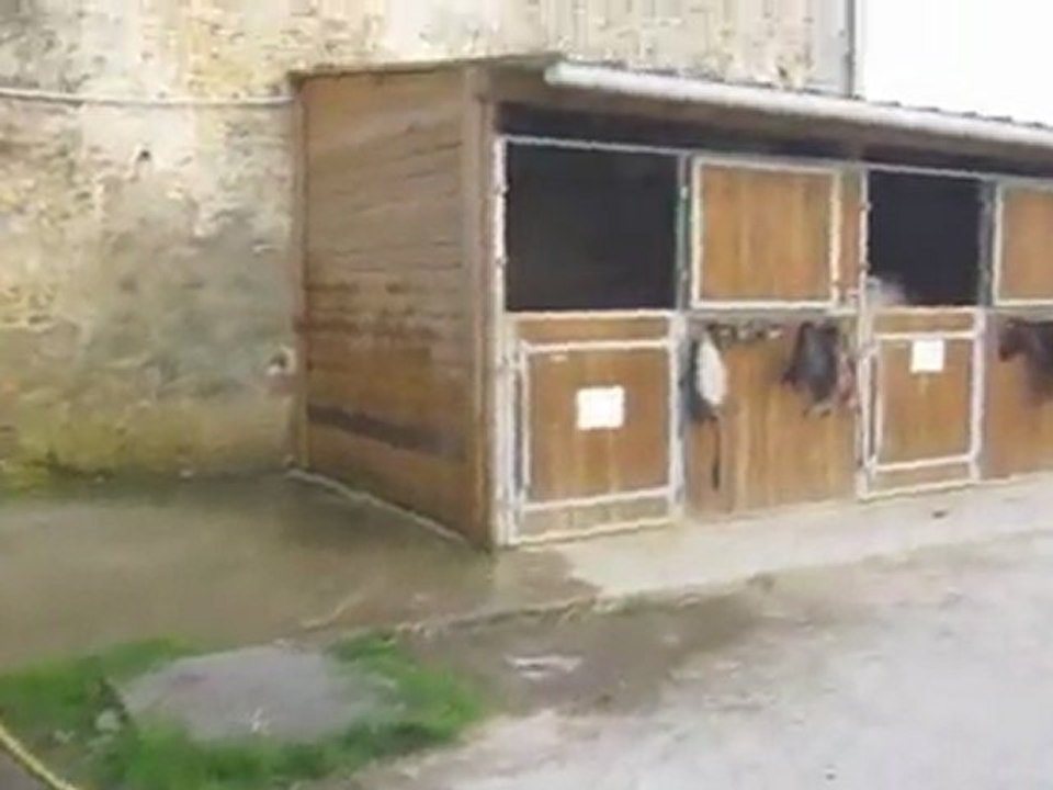 Nouvelle écurie