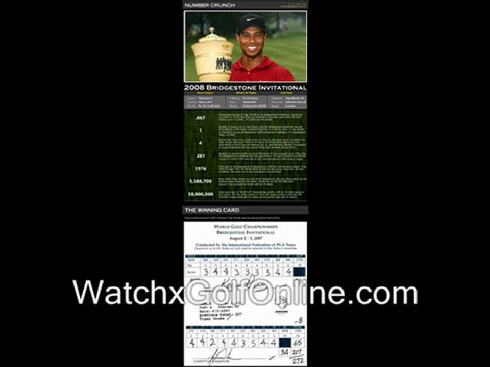 watch 2011 World Golf Championships-Bridgestone Invitational golf championship online