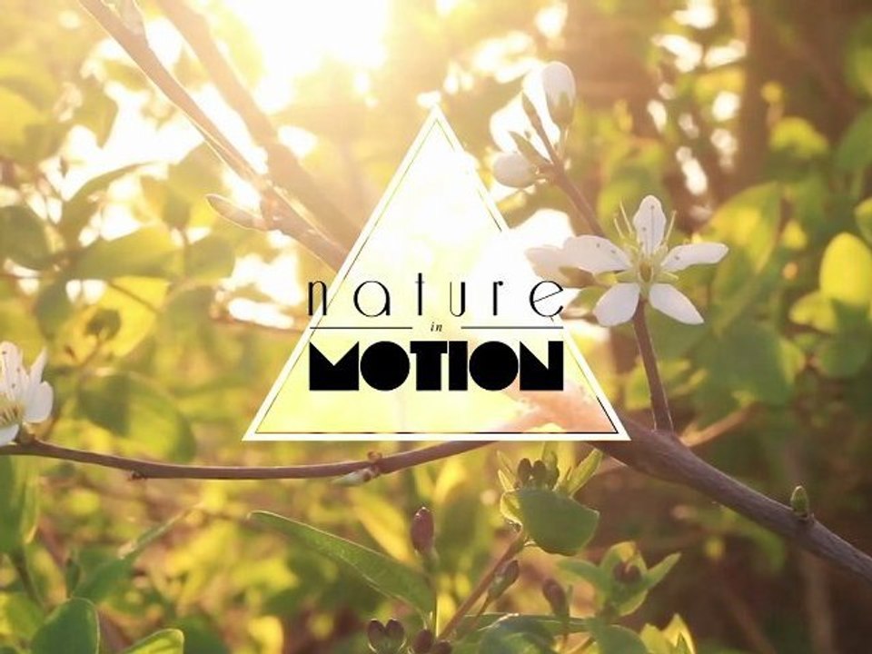 Nature in motion