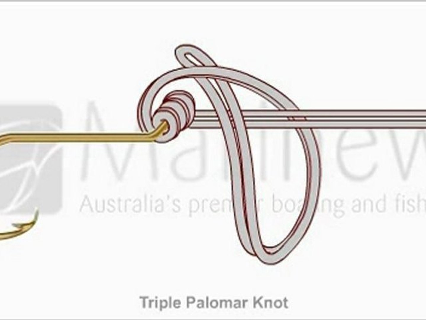 Triple Palomar Knot Step By Step Guide Video Dailymotion