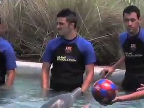 Valdes, Xavi... et les dauphins !
