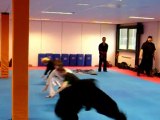 Vijf: 5 Elementen van Ninjutsu : Sensei Titus Mathijn Jansen