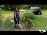 Redneck Fail Compilation 2011