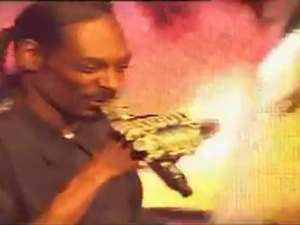 Snoop Dogg, Kurupt & Warren G "Ain't no Fun" Live @ le Zénith, Paris, France, 07-04-2011 Pt.14