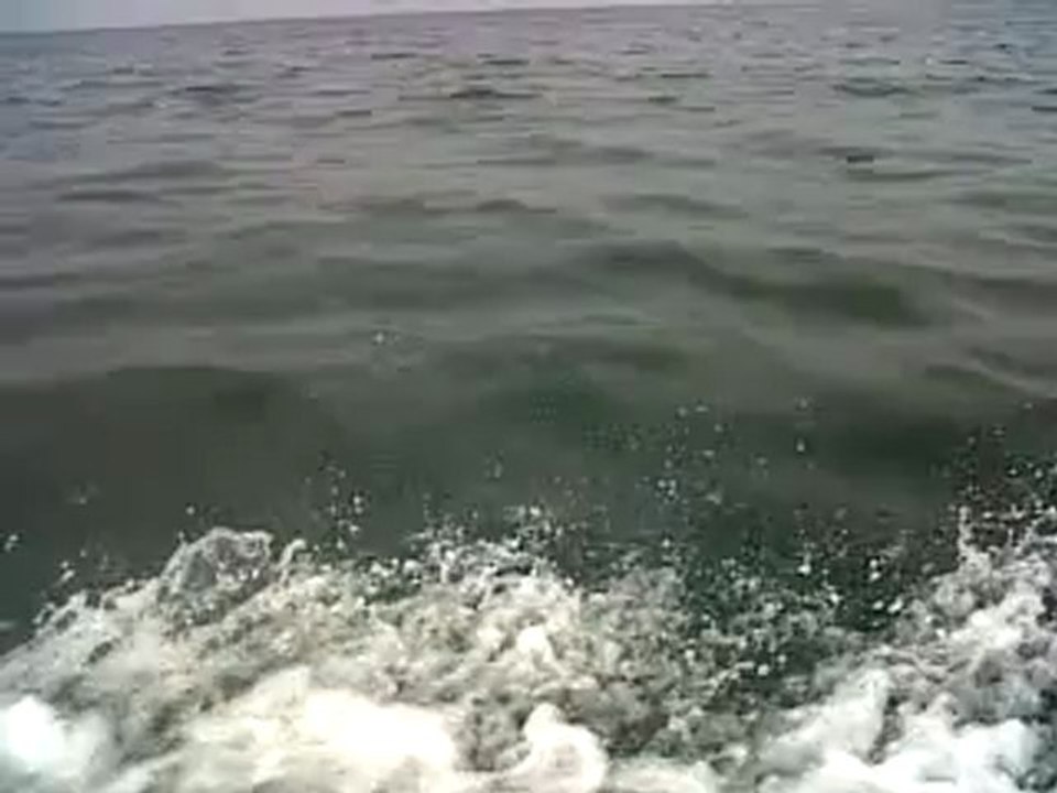 le 2 Août  sortie mémorable sur la côte Normande en jet ski avec des dauphins