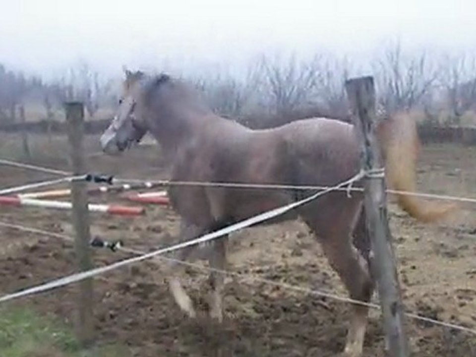 Bébé en plein délire
