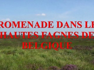 UNE JOURNEE A LA CAMPAGNE