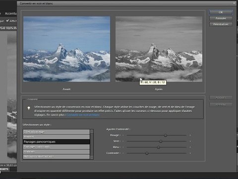 Adobe Photoshop Elements 9 : La conversion en noir et blanc