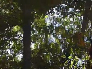 Mothers, Religions and Nature.