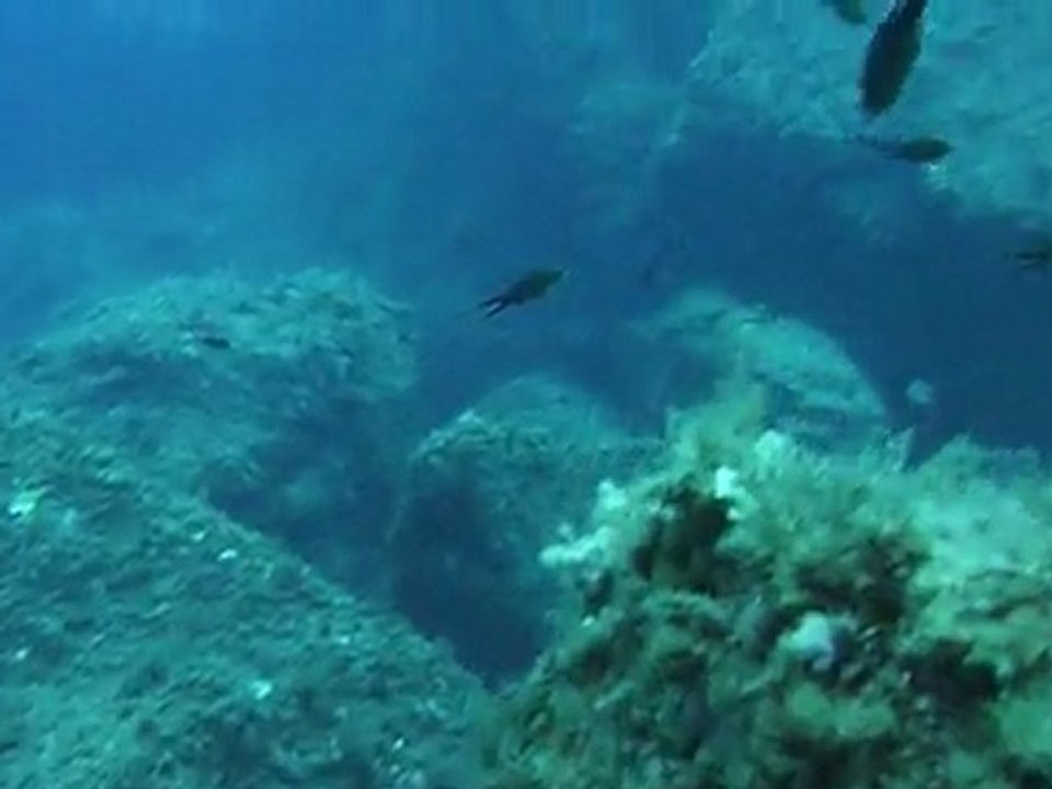 Lolita et les mérous