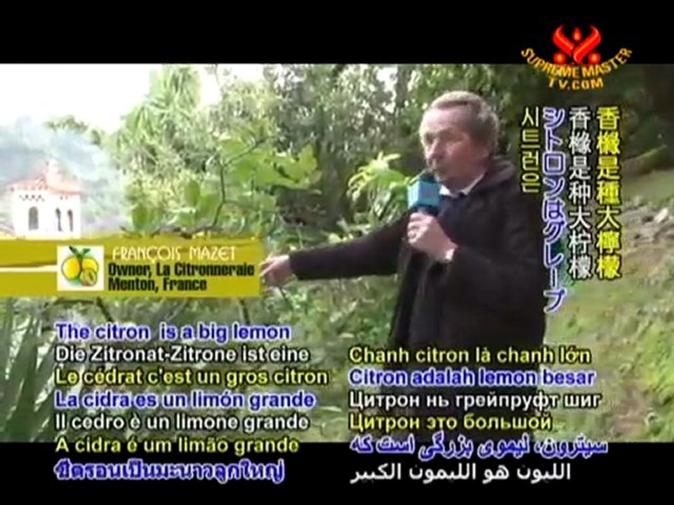 Gifts of God: The Lemon Festival of Menton, France - P1/2